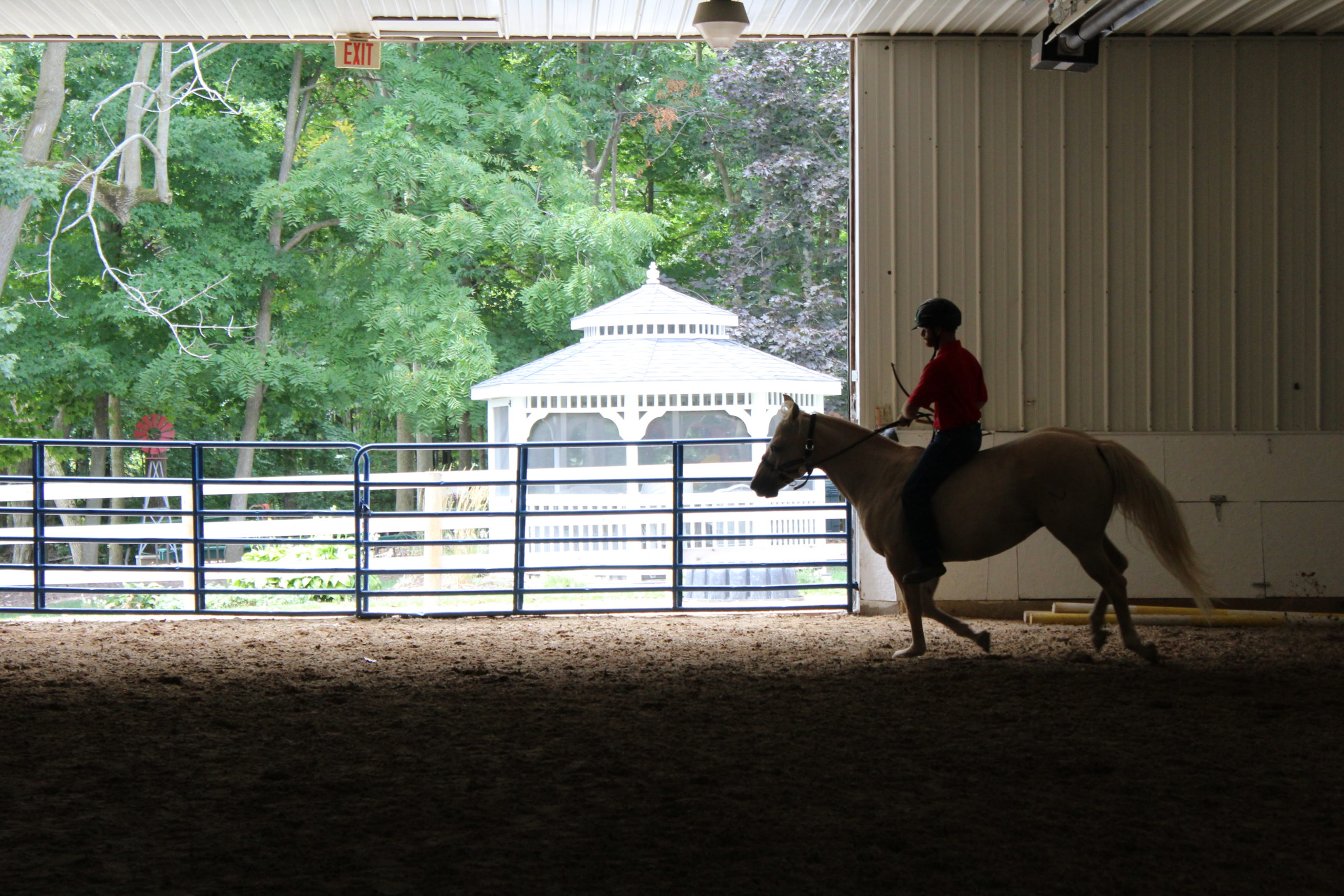 Rider Influence on Hoof Shape and Soundness